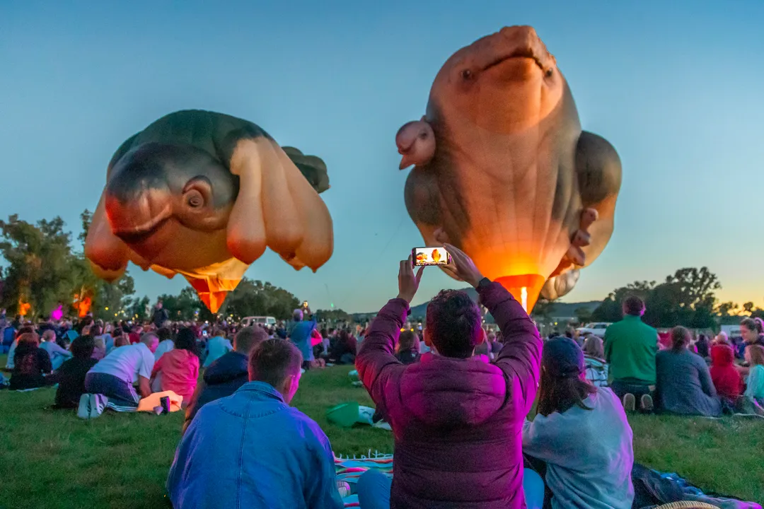 media_skywhale_launch_print_version