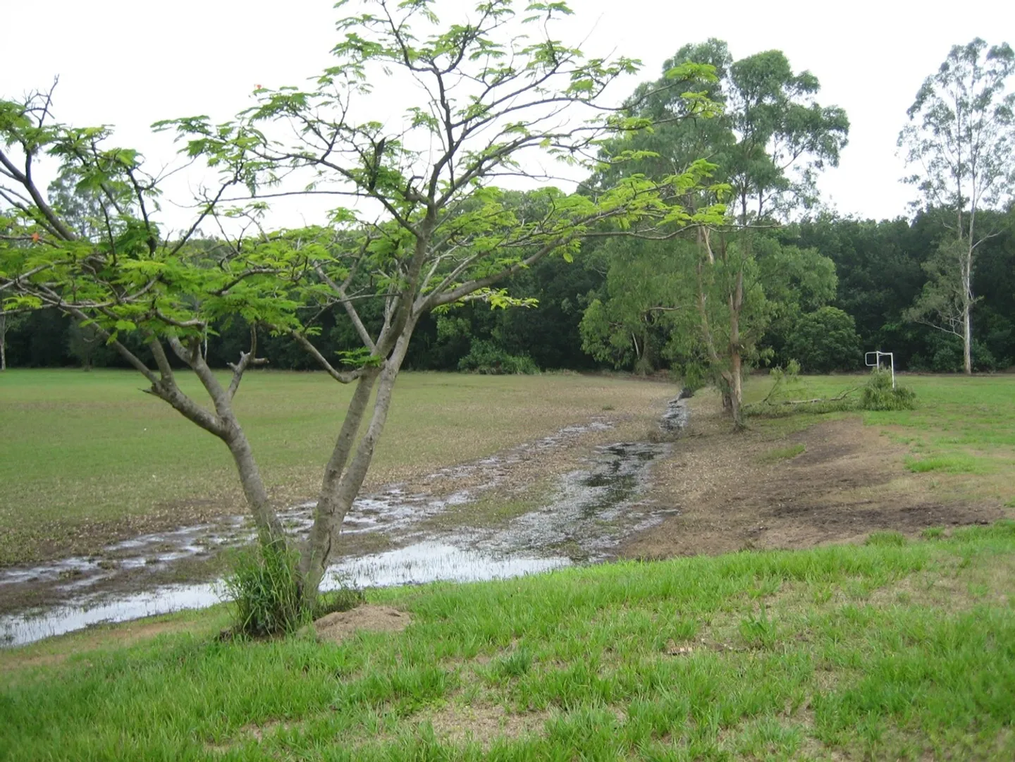 2013-rangakarra