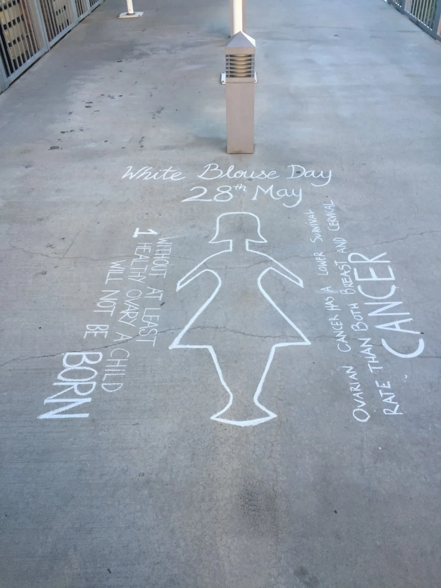 2015-raising-awareness-with-facts-and-imagery-of-the-white-lady-on-the-clc-walkway