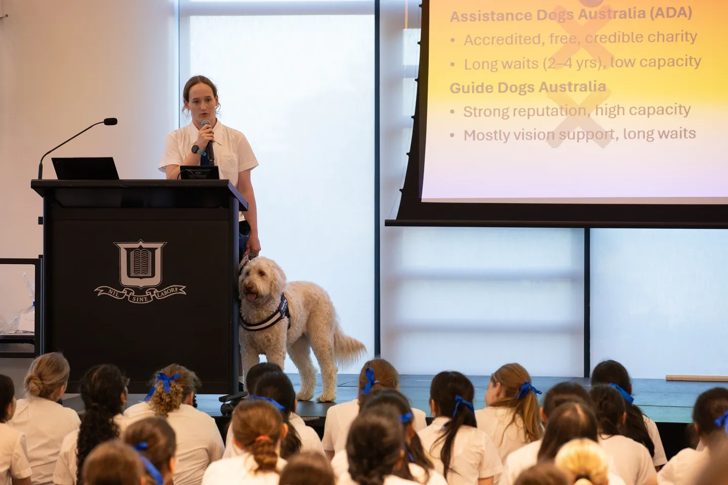 20251022_yr9curiousmeshowcase_mb-7802