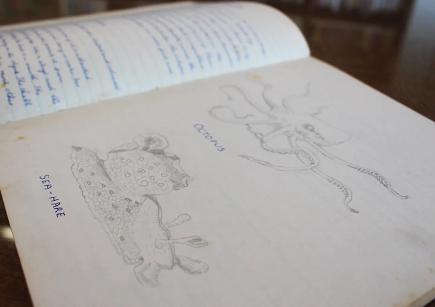christine-jones's-drawings-752