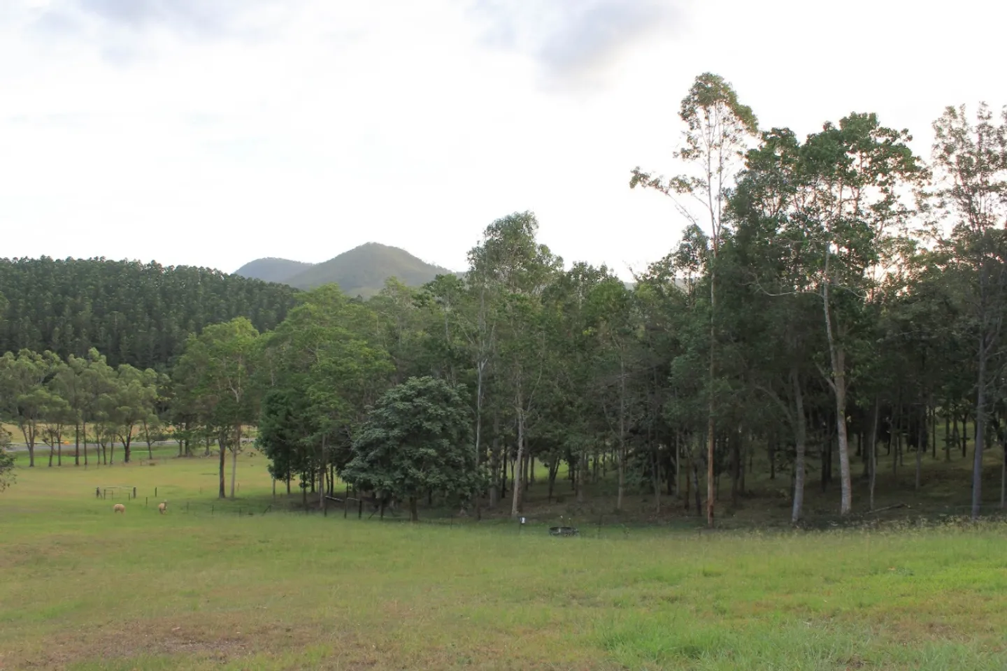 image018