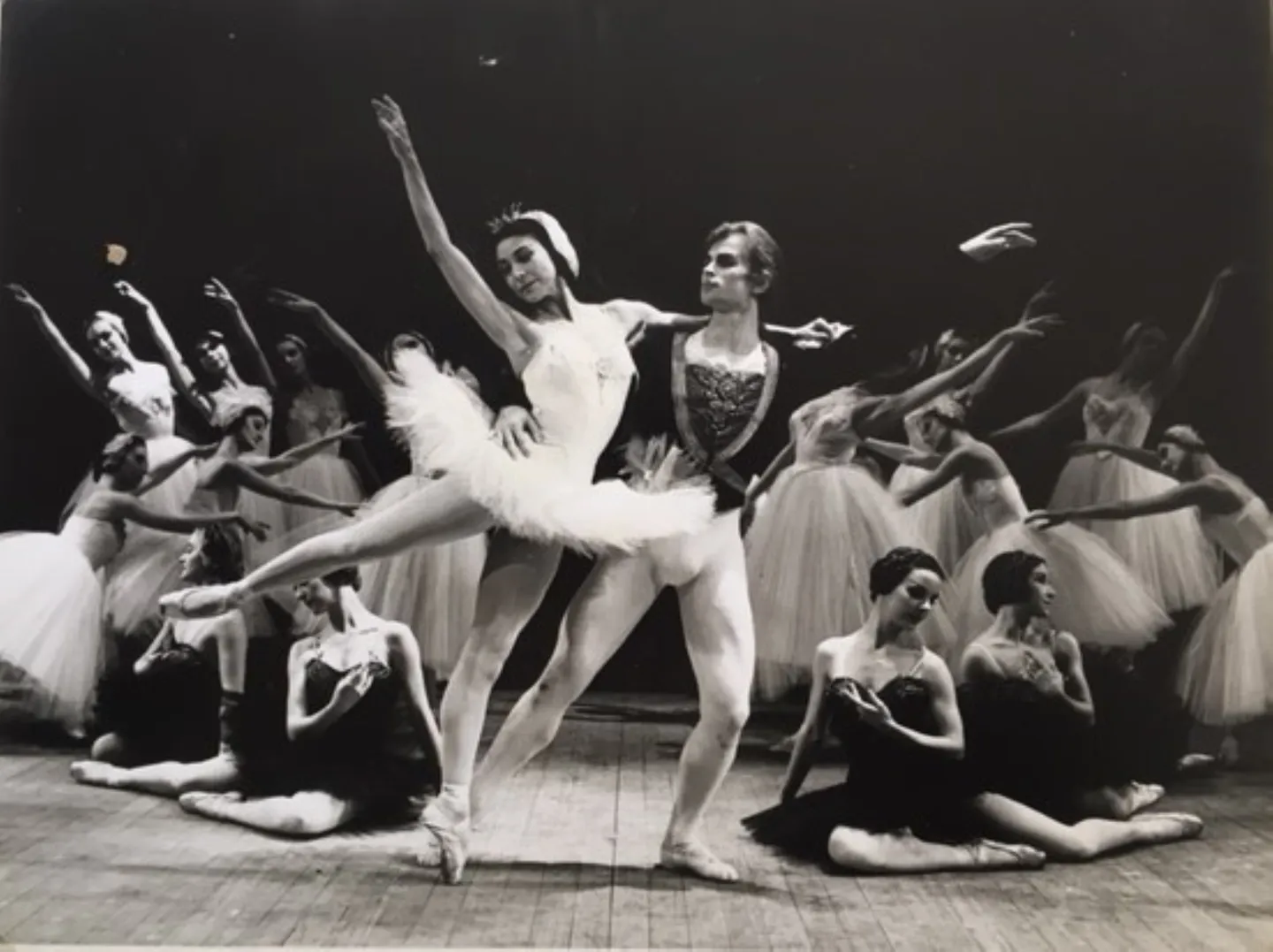 lexie(to-left-of-fonteyn)