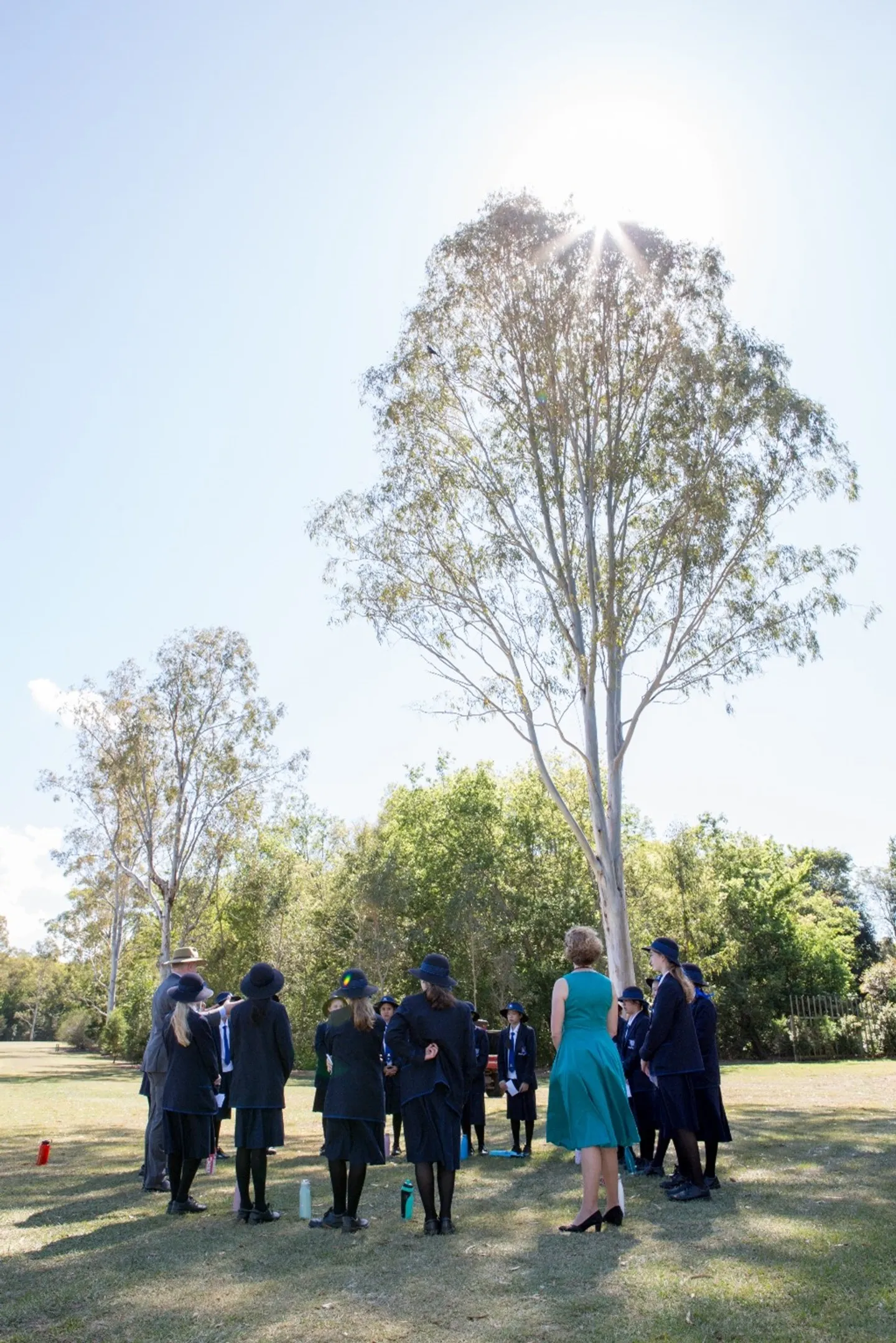 picture15