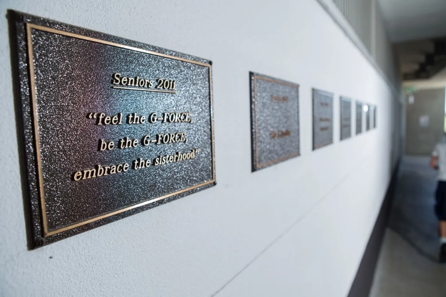 plaque-seniors-2011