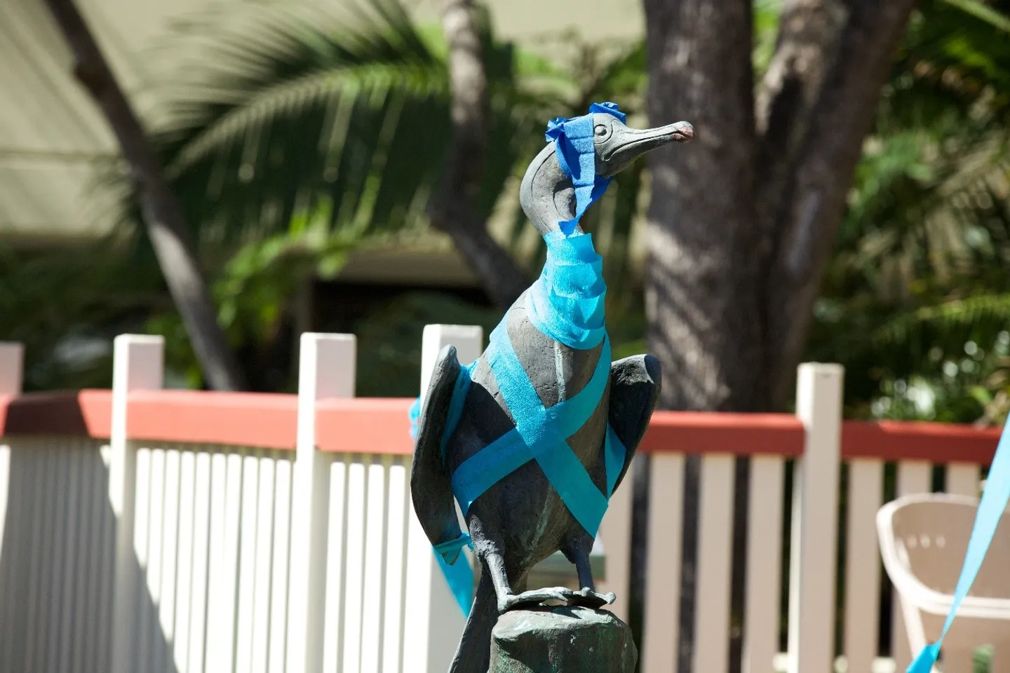 the-cormorant